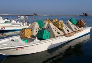 Artificial Reef For Sale